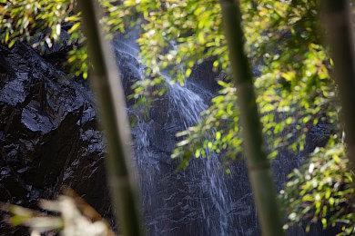 《星际公民》最新舰队周开启 持续至5月29日免费试玩