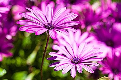 国产开放世界《仙剑世界》预载开启 推荐使用RTX3060